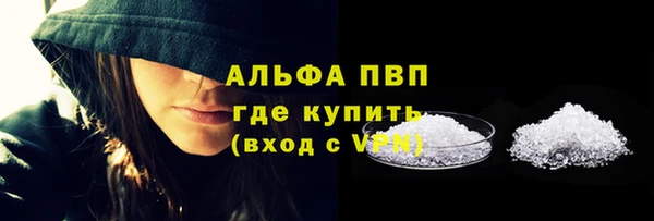 ешки Белокуриха