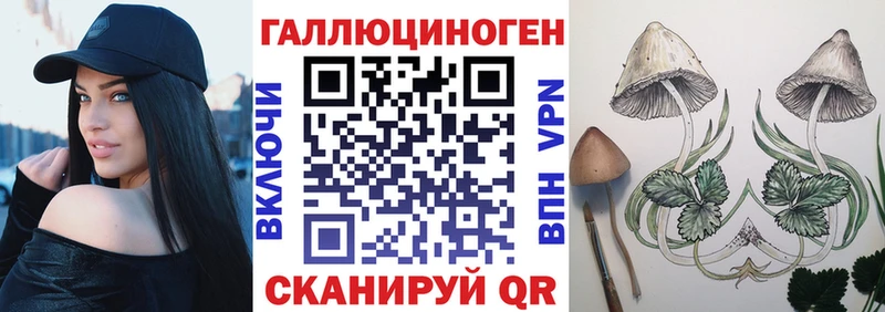 Псилоцибиновые грибы Psilocybe  Зубцов 