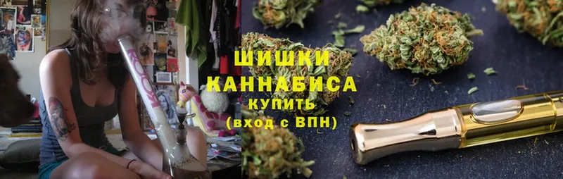 закладка  Зубцов  Шишки марихуана White Widow 